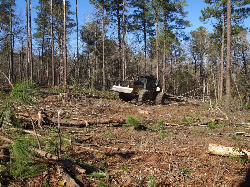 Land Clearing Equipment Close-up