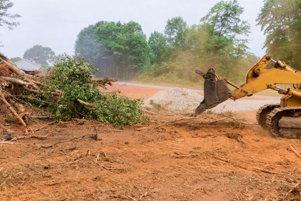 Ground Clearing in Fairfield