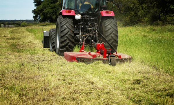 Brush Clearing Service in Fairfield