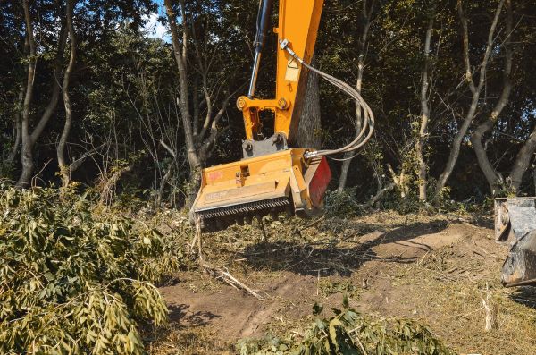 Brush Removal Service in Fairfield