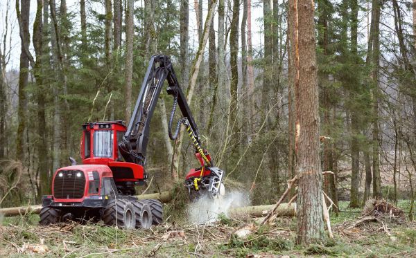 Cost of Forest Clearance Service in Fairfield