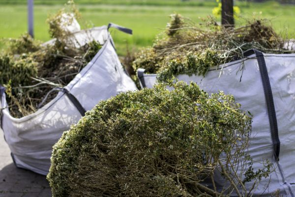 Cost of Bushes Clearing in Fairfield