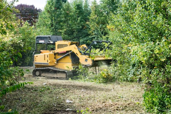 Cost of Pathway Clearing in Fairfield