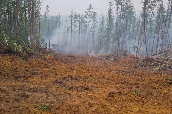Cost of Hill Clearing in Fairfield