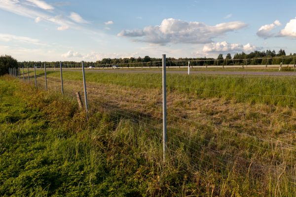 Cost of Property Line Clearing in Fairfield