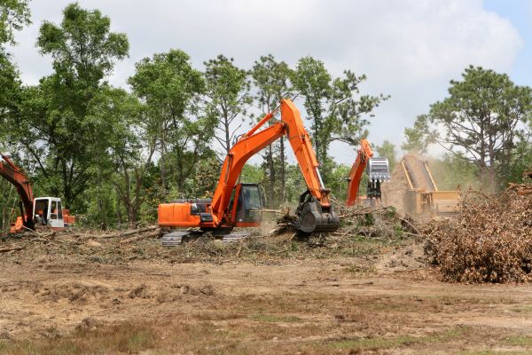 Cost of Commercial Lot Clearing in Fairfield