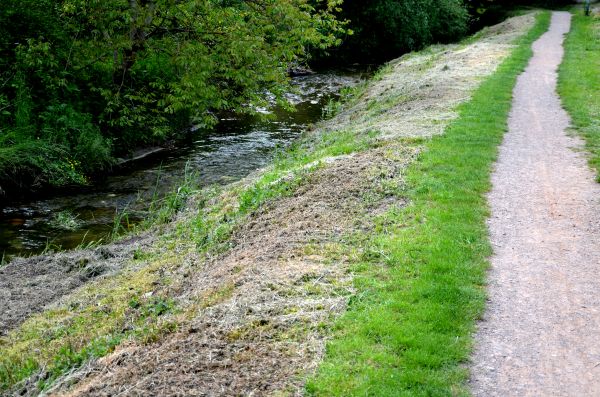 Cost of Trail Cutting in Fairfield